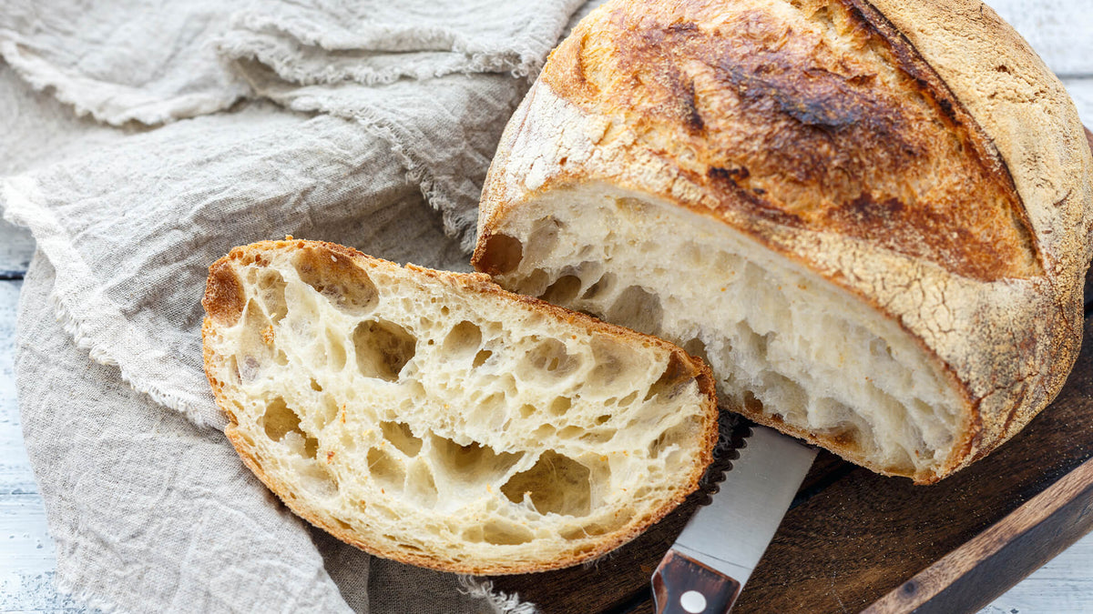 You've just bought a sourdough starter, now what?