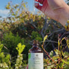 Clarity Tincture
